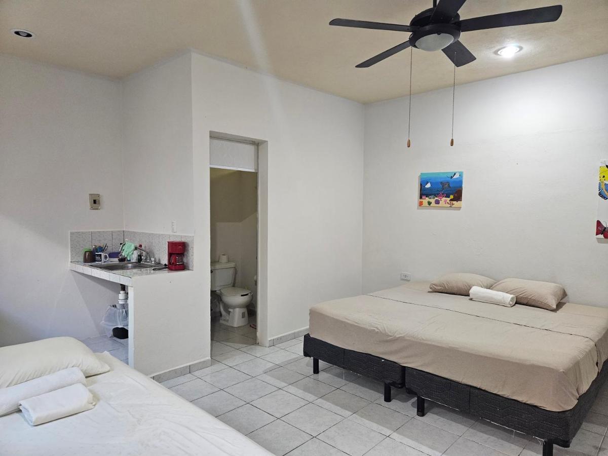 Hostel El Padrino Akumal Zewnętrze zdjęcie