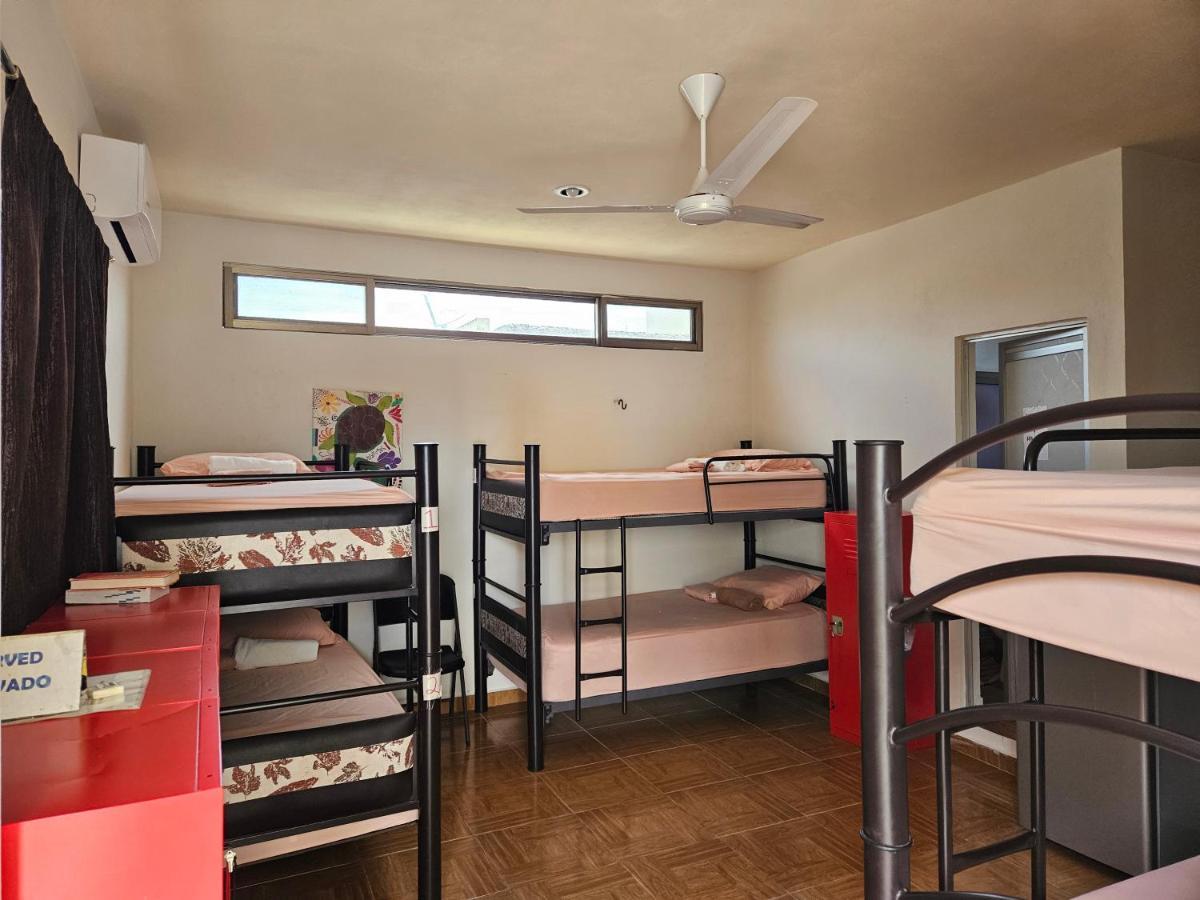 Hostel El Padrino Akumal Zewnętrze zdjęcie